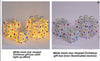 Illuminated Folding Christmas Gift Box